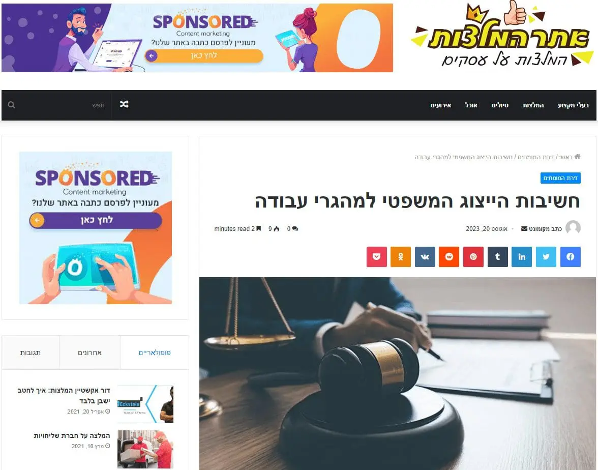 פרסום מקצועי